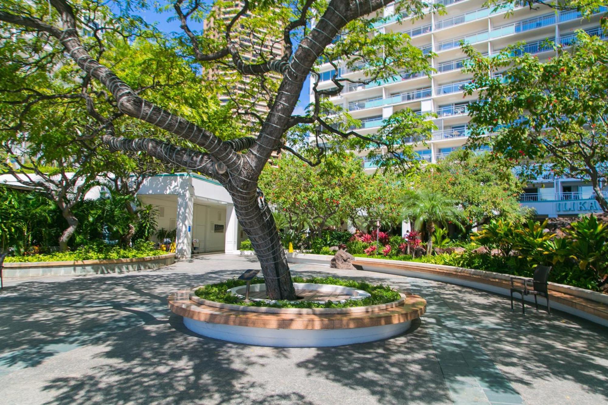 Ilikai Tower 2109 City View 2Br Honolulu Ngoại thất bức ảnh